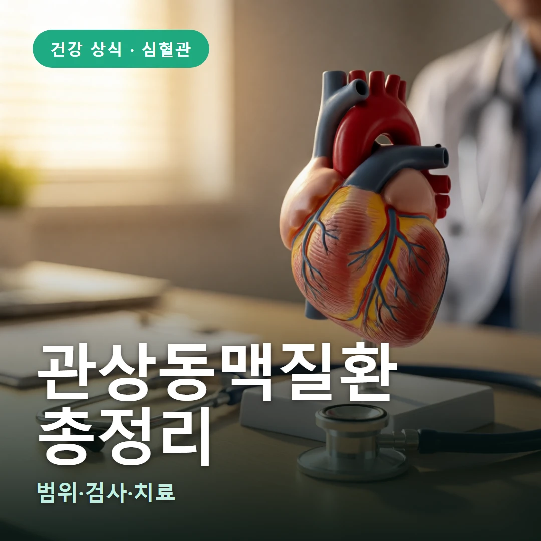 관상동맥질환 요약 표지 — 범위·검사·치료