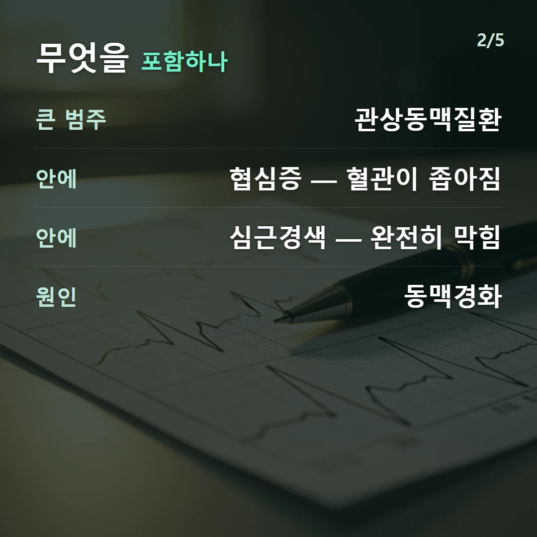 무엇을 포함하나 — 큰 범주 관상동맥질환, 안에 협심증 — 혈관이 좁아짐, 안에 심근경색 — 완전히 막힘, 원인 동맥경화