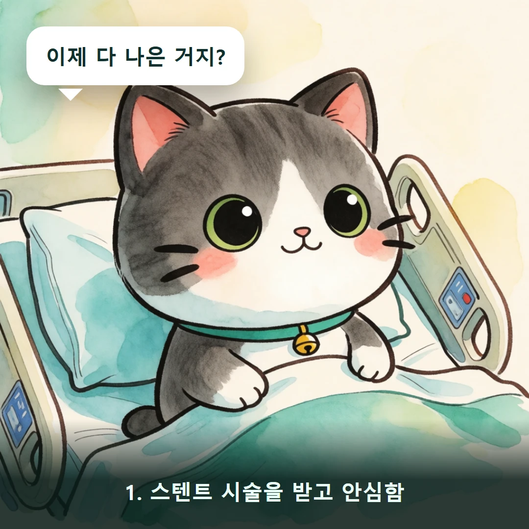 웹툰 1컷 — 1. 스텐트 시술을 받고 안심함 (이제 다 나은 거지?)