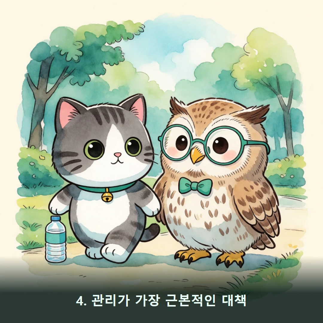 웹툰 4컷 — 4. 관리가 가장 근본적인 대책