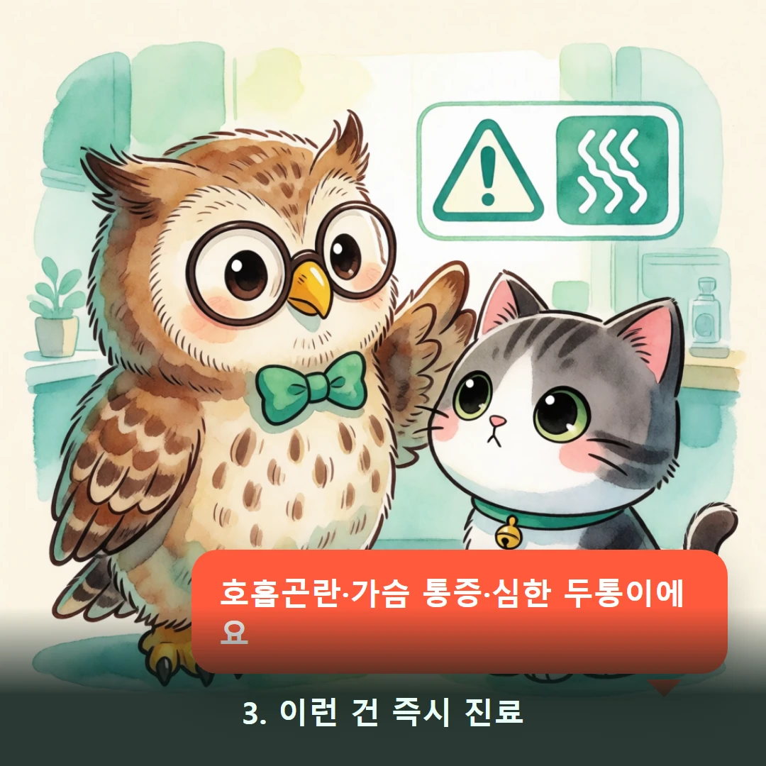 웹툰 3컷 — 3. 이런 건 즉시 진료 (호흡곤란·가슴 통증·심한 두통이에요)