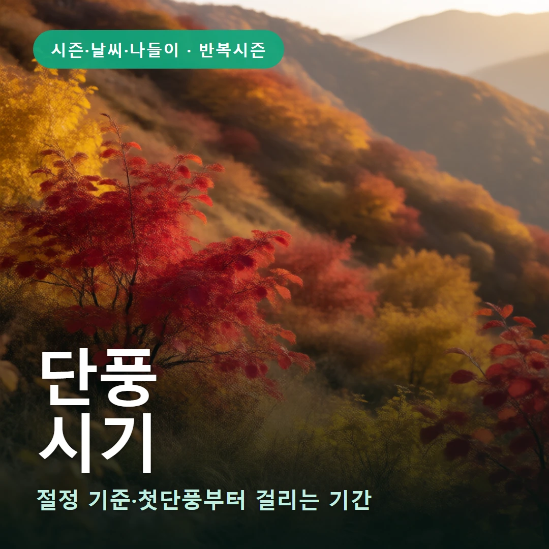 단풍 요약 표지 — 절정 기준·첫단풍부터 걸리는 기간