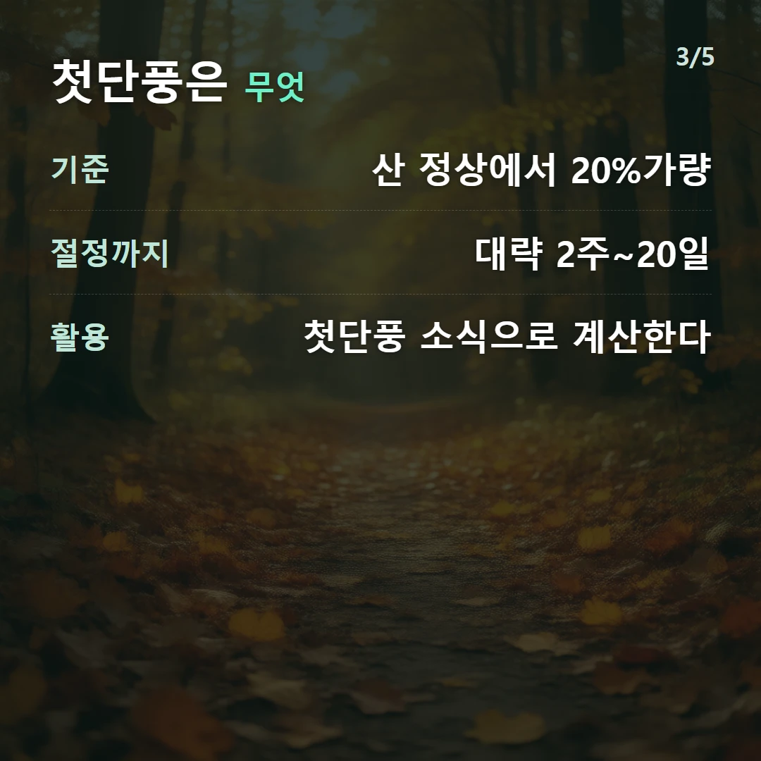 첫단풍은 무엇 — 기준 산 정상에서 20%가량, 절정까지 대략 2주~20일, 활용 첫단풍 소식으로 계산한다