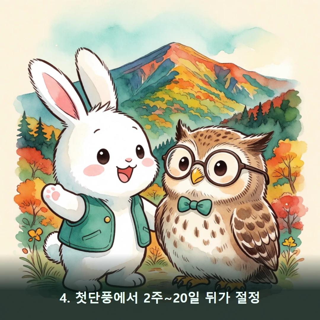 웹툰 4컷 — 4. 첫단풍에서 2주~20일 뒤가 절정