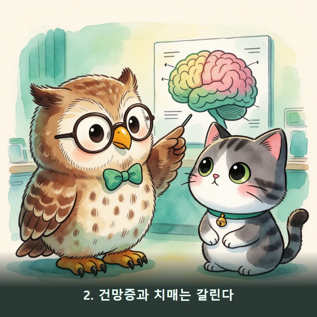 웹툰 2컷 — 2. 건망증과 치매는 갈린다