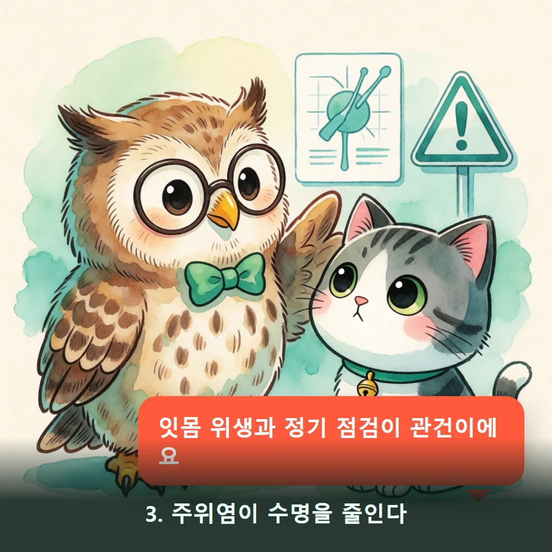 웹툰 3컷 — 3. 주위염이 수명을 줄인다 (잇몸 위생과 정기 점검이 관건이에요)