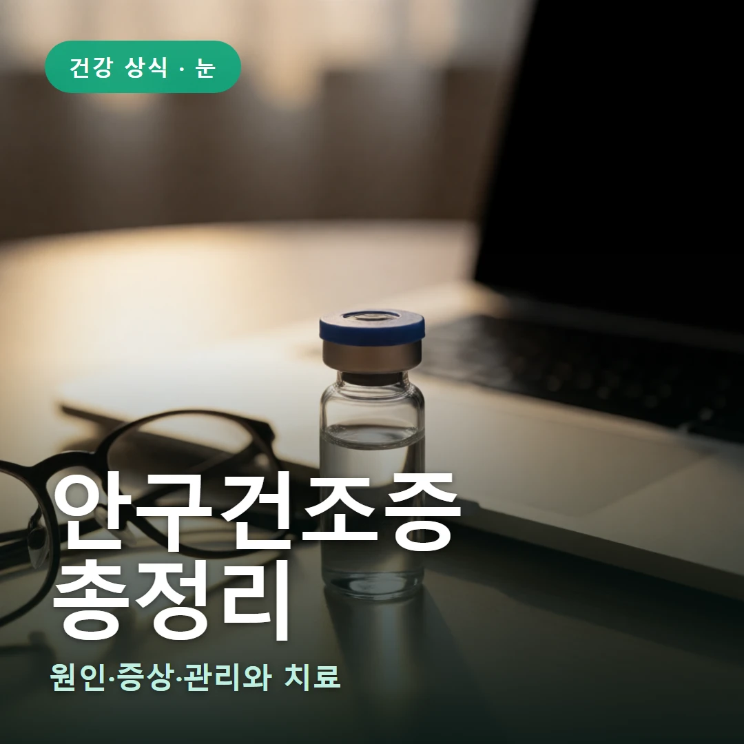 안구건조증 요약 표지 — 원인·증상·관리와 치료