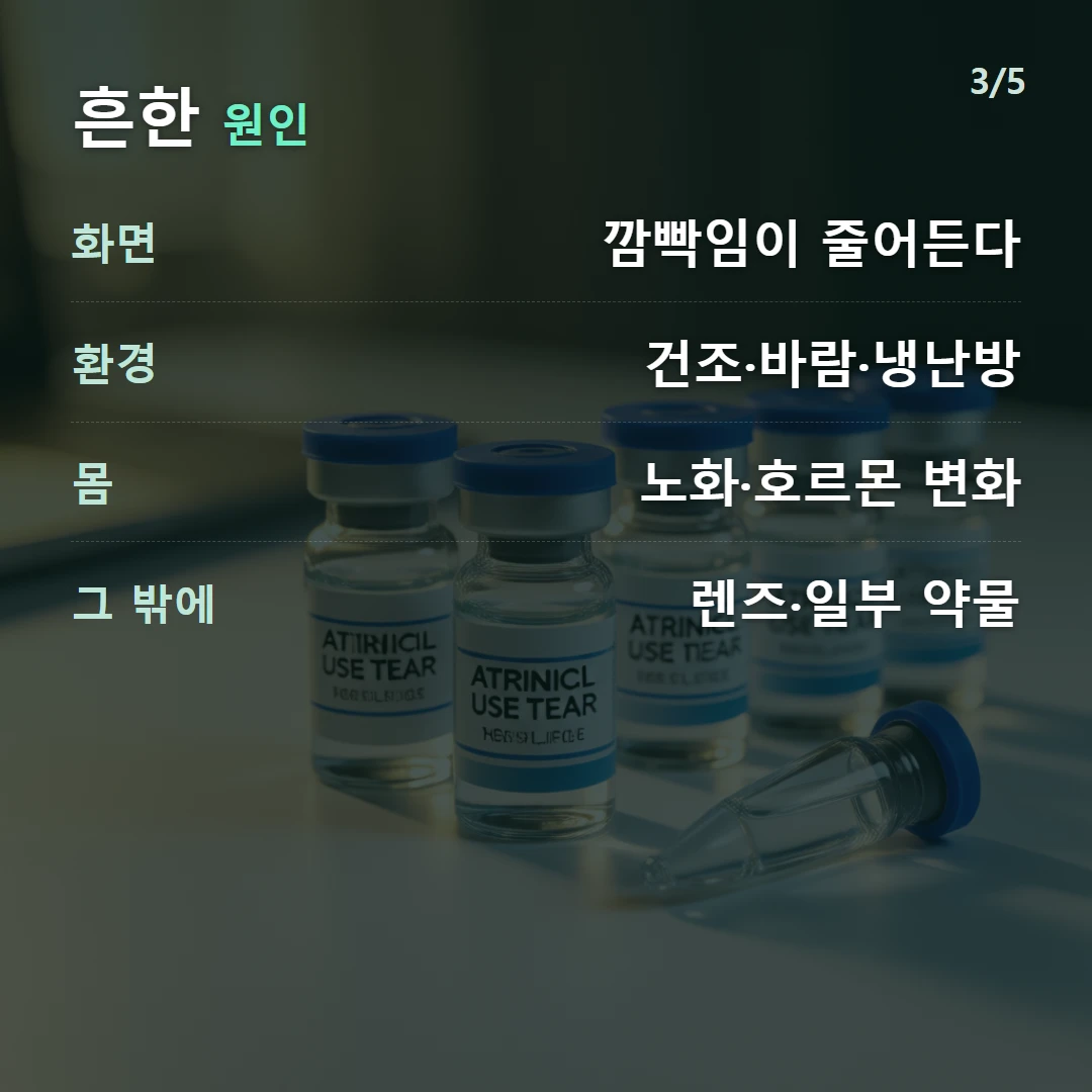흔한 원인 — 화면 깜빡임이 줄어든다, 환경 건조·바람·냉난방, 몸 노화·호르몬 변화, 그 밖에 렌즈·일부 약물