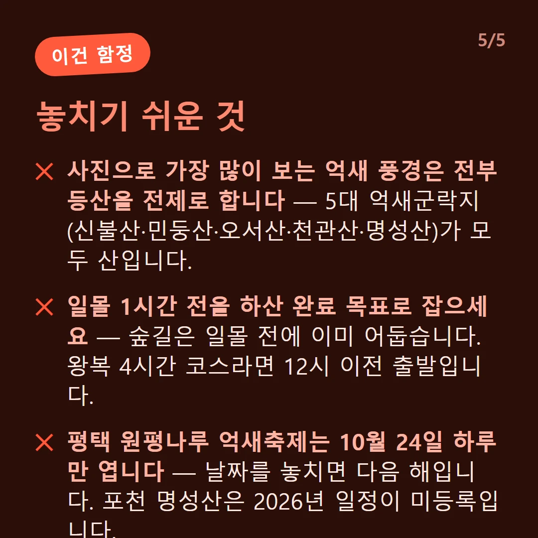 놓치기 쉬운 것 — 사진으로 가장 많이 보는 억새 풍경은 전부 등산을 전제로 합니다 — 5대 억새군락지(신불산·민둥산·오서산·천관산·명성산)가 모두 산입니다. / 일몰 1시간 전을 하산 완료 목표로 잡으세요 — 숲길은 일몰 전에 이미 어둡습니다. 왕복 4시간 코스라면 12시 이전 출발입니다. / 평택 원평나루 억새축제는 10월 24일 하루만 엽니다 — 날짜를 놓치면 다음 해입니다. 포천 명성산은 2026년 일정이 미등록입니다.