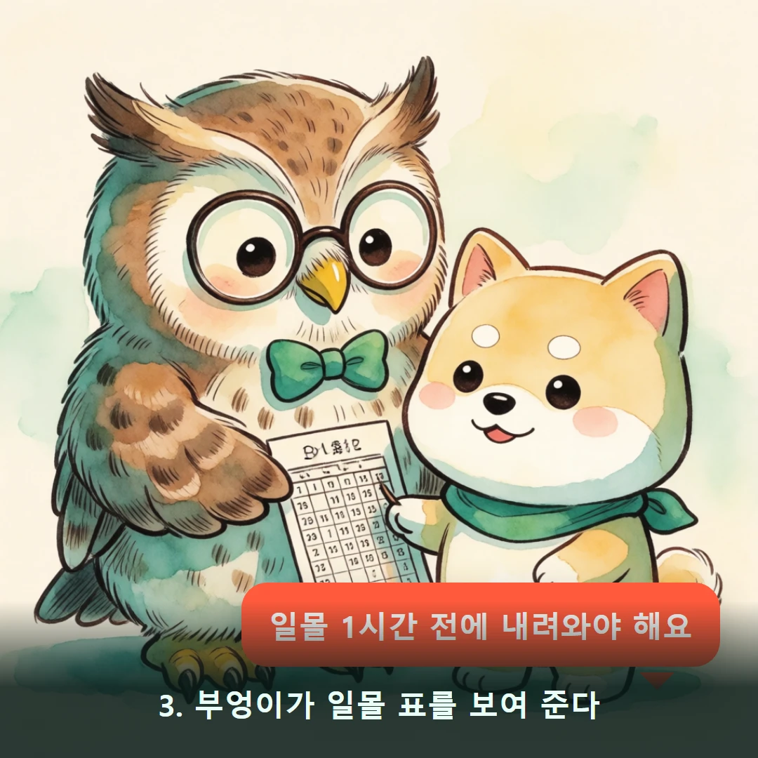 웹툰 3컷 — 3. 부엉이가 일몰 표를 보여 준다 (일몰 1시간 전에 내려와야 해요)