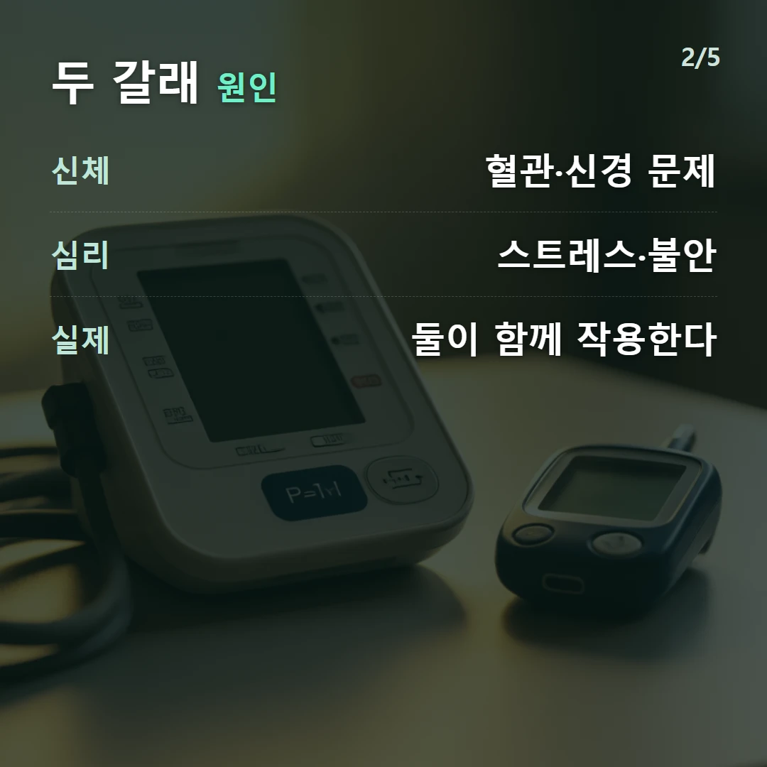 두 갈래 원인 — 신체 혈관·신경 문제, 심리 스트레스·불안, 실제 둘이 함께 작용한다