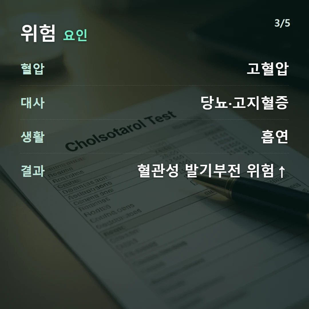 위험 요인 — 혈압 고혈압, 대사 당뇨·고지혈증, 생활 흡연, 결과 혈관성 발기부전 위험↑