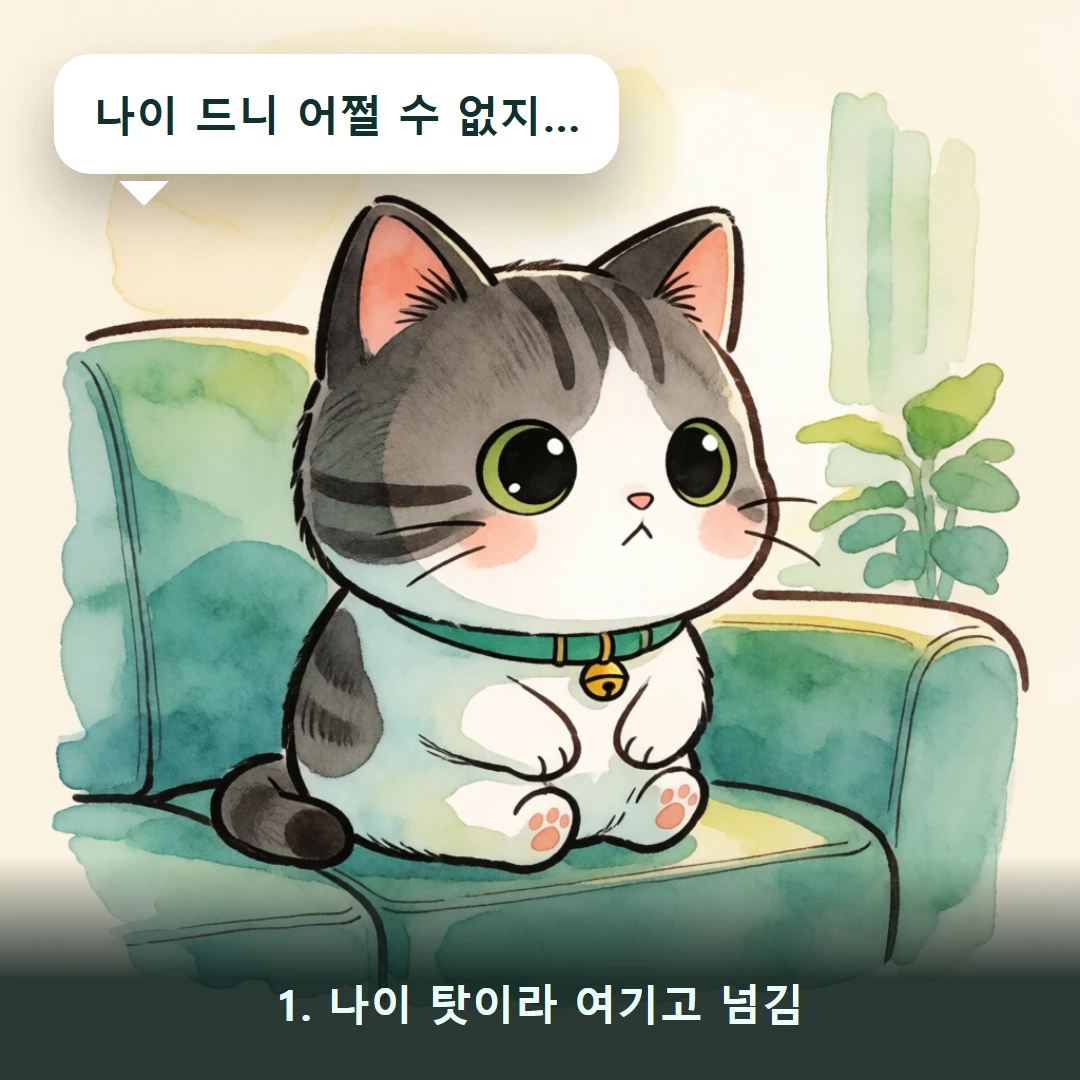 웹툰 1컷 — 1. 나이 탓이라 여기고 넘김 (나이 드니 어쩔 수 없지…)