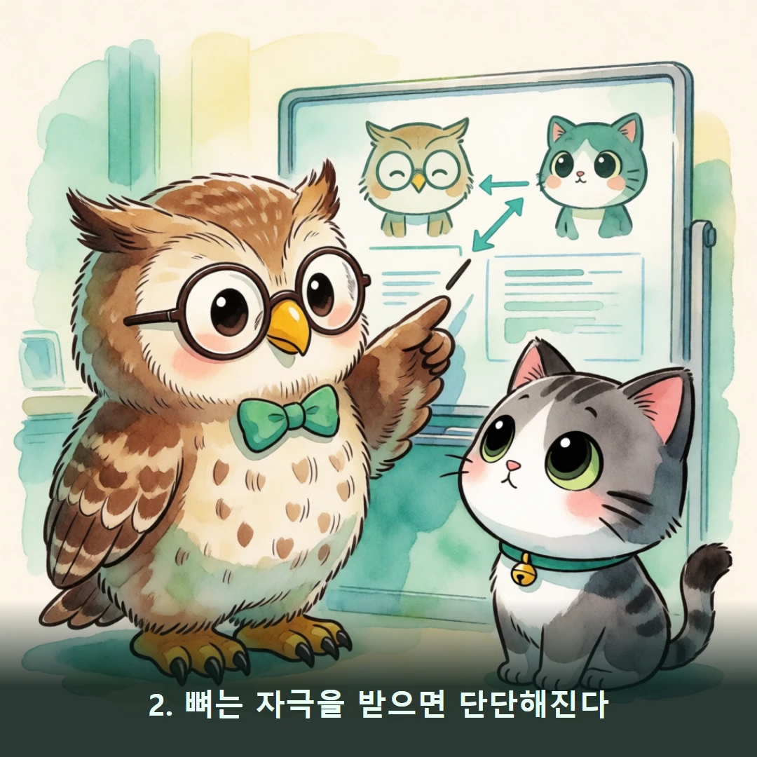 웹툰 2컷 — 2. 뼈는 자극을 받으면 단단해진다