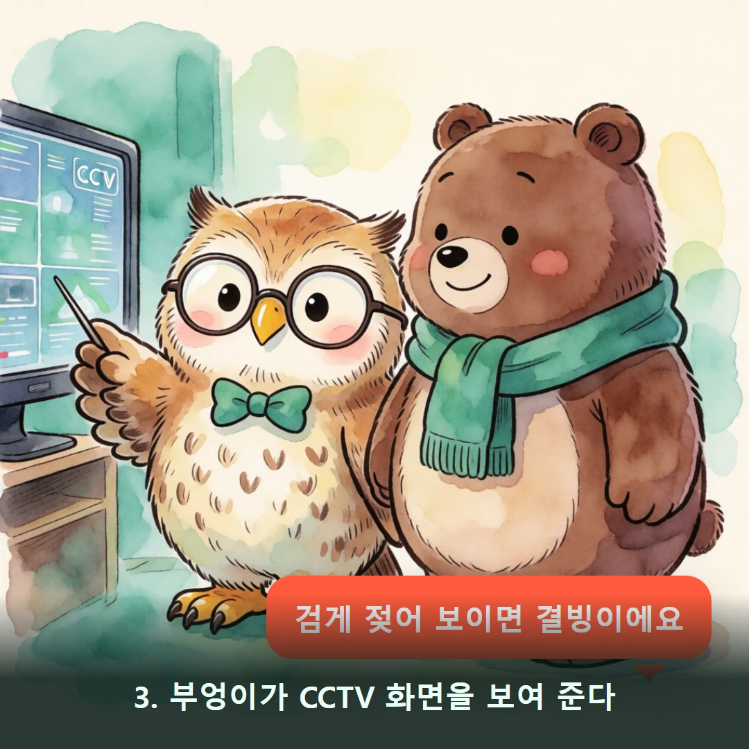 웹툰 3컷 — 3. 부엉이가 CCTV 화면을 보여 준다 (검게 젖어 보이면 결빙이에요)