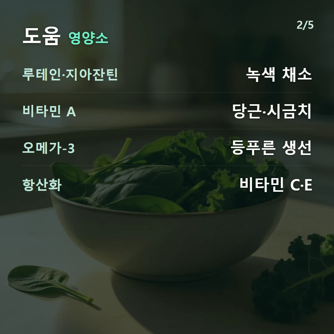 도움 영양소 — 루테인·지아잔틴 녹색 채소, 비타민 A 당근·시금치, 오메가-3 등푸른 생선, 항산화 비타민 C·E