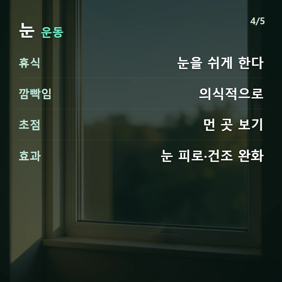 눈 운동 — 휴식 눈을 쉬게 한다, 깜빡임 의식적으로, 초점 먼 곳 보기, 효과 눈 피로·건조 완화