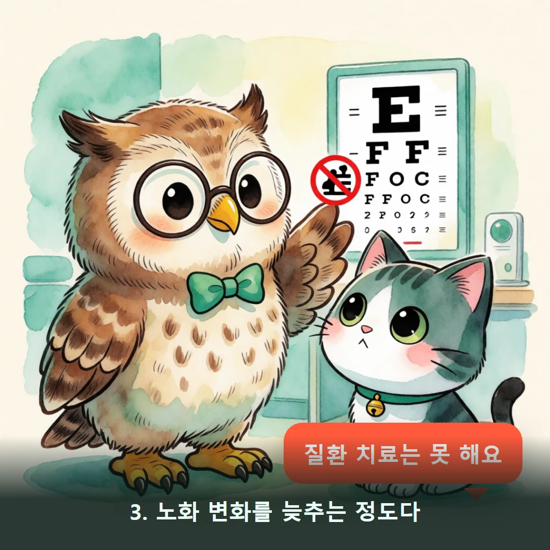웹툰 3컷 — 3. 노화 변화를 늦추는 정도다 (질환 치료는 못 해요)
