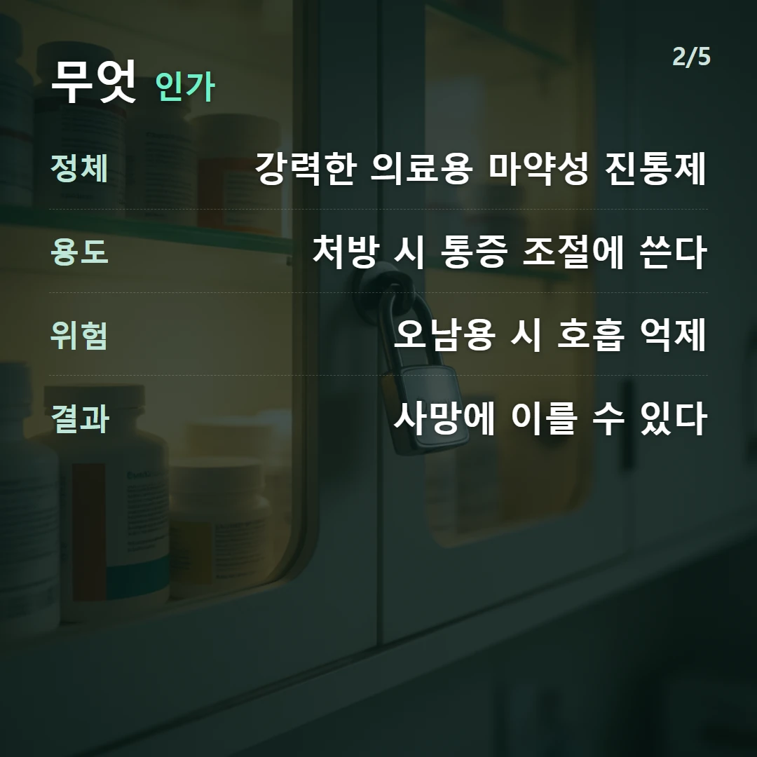무엇 인가 — 정체 강력한 의료용 마약성 진통제, 용도 처방 시 통증 조절에 쓴다, 위험 오남용 시 호흡 억제, 결과 사망에 이를 수 있다