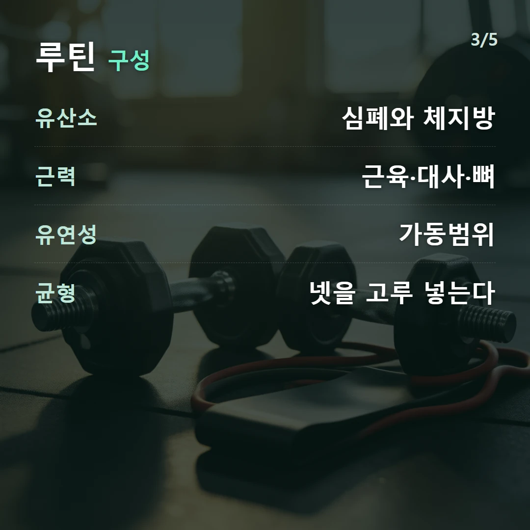 루틴 구성 — 유산소 심폐와 체지방, 근력 근육·대사·뼈, 유연성 가동범위, 균형 넷을 고루 넣는다