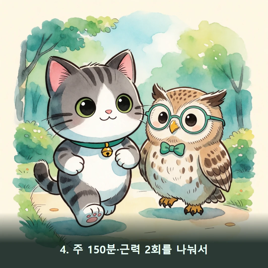웹툰 4컷 — 4. 주 150분·근력 2회를 나눠서