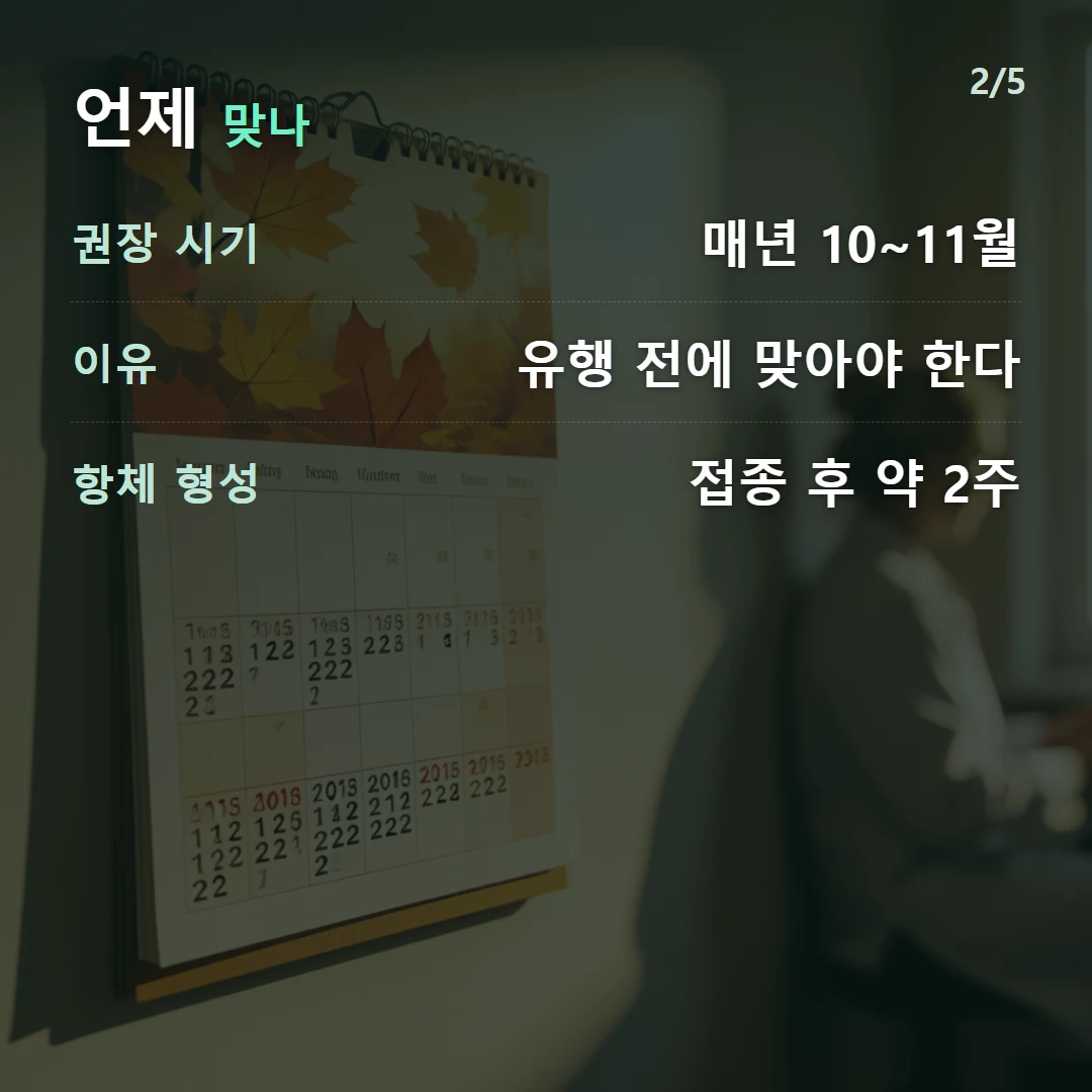 언제 맞나 — 권장 시기 매년 10~11월, 이유 유행 전에 맞아야 한다, 항체 형성 접종 후 약 2주