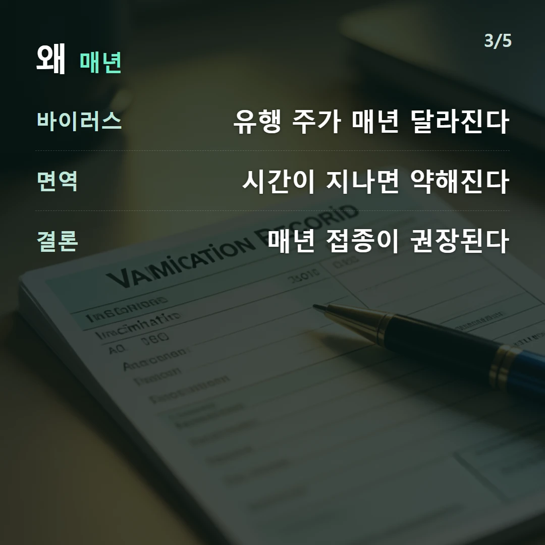 왜 매년 — 바이러스 유행 주가 매년 달라진다, 면역 시간이 지나면 약해진다, 결론 매년 접종이 권장된다
