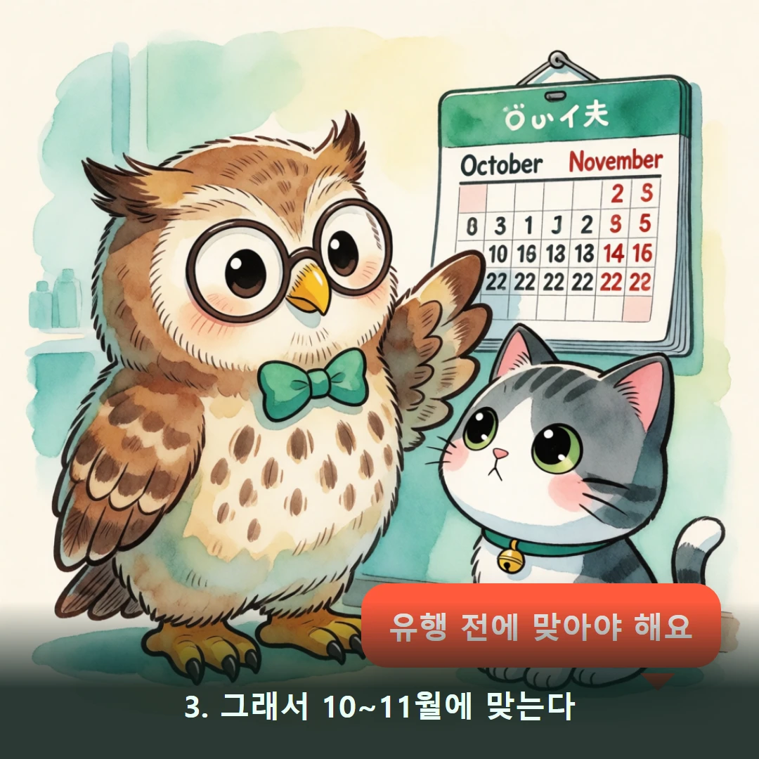 웹툰 3컷 — 3. 그래서 10~11월에 맞는다 (유행 전에 맞아야 해요)