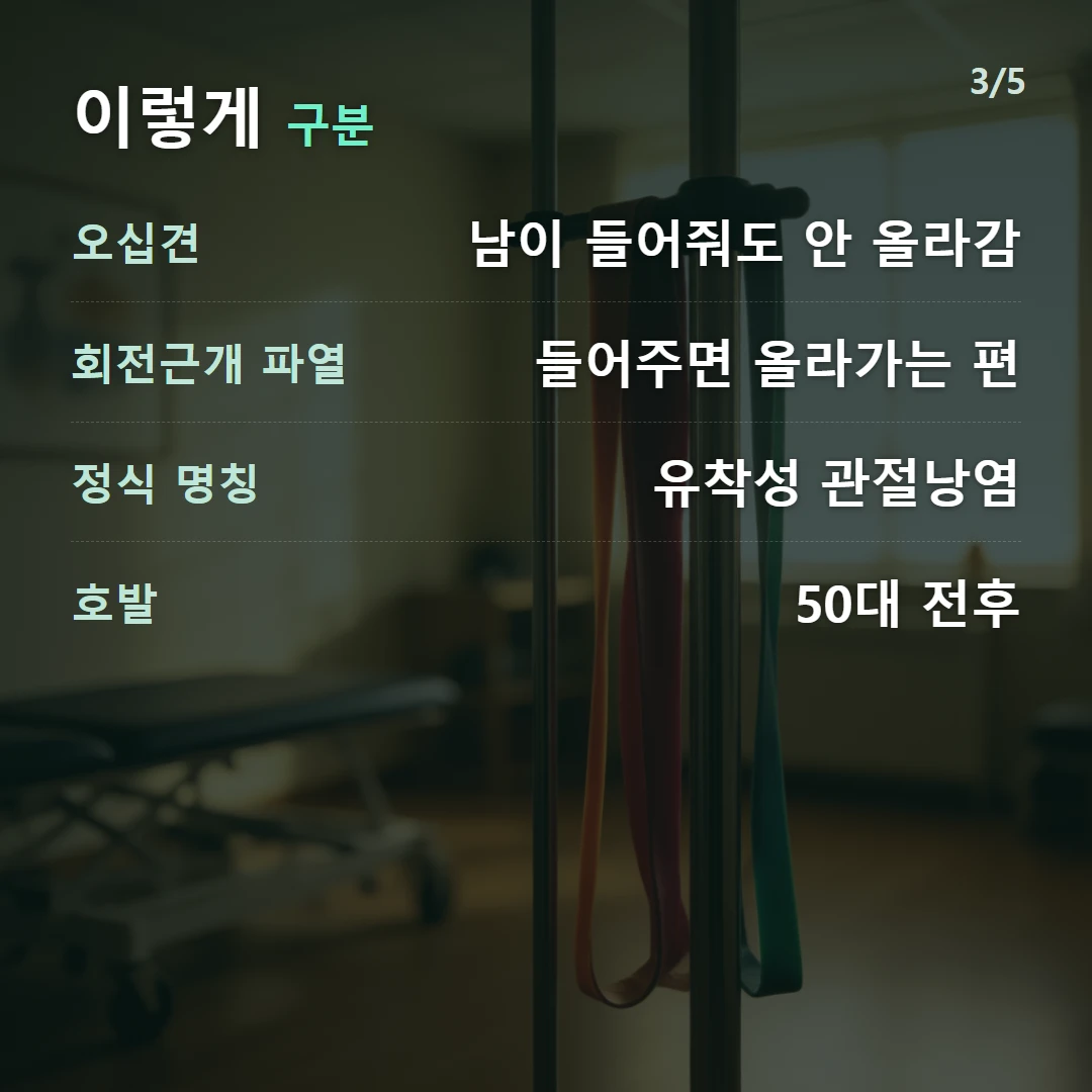 이렇게 구분 — 오십견 남이 들어줘도 안 올라감, 회전근개 파열 들어주면 올라가는 편, 정식 명칭 유착성 관절낭염, 호발 50대 전후