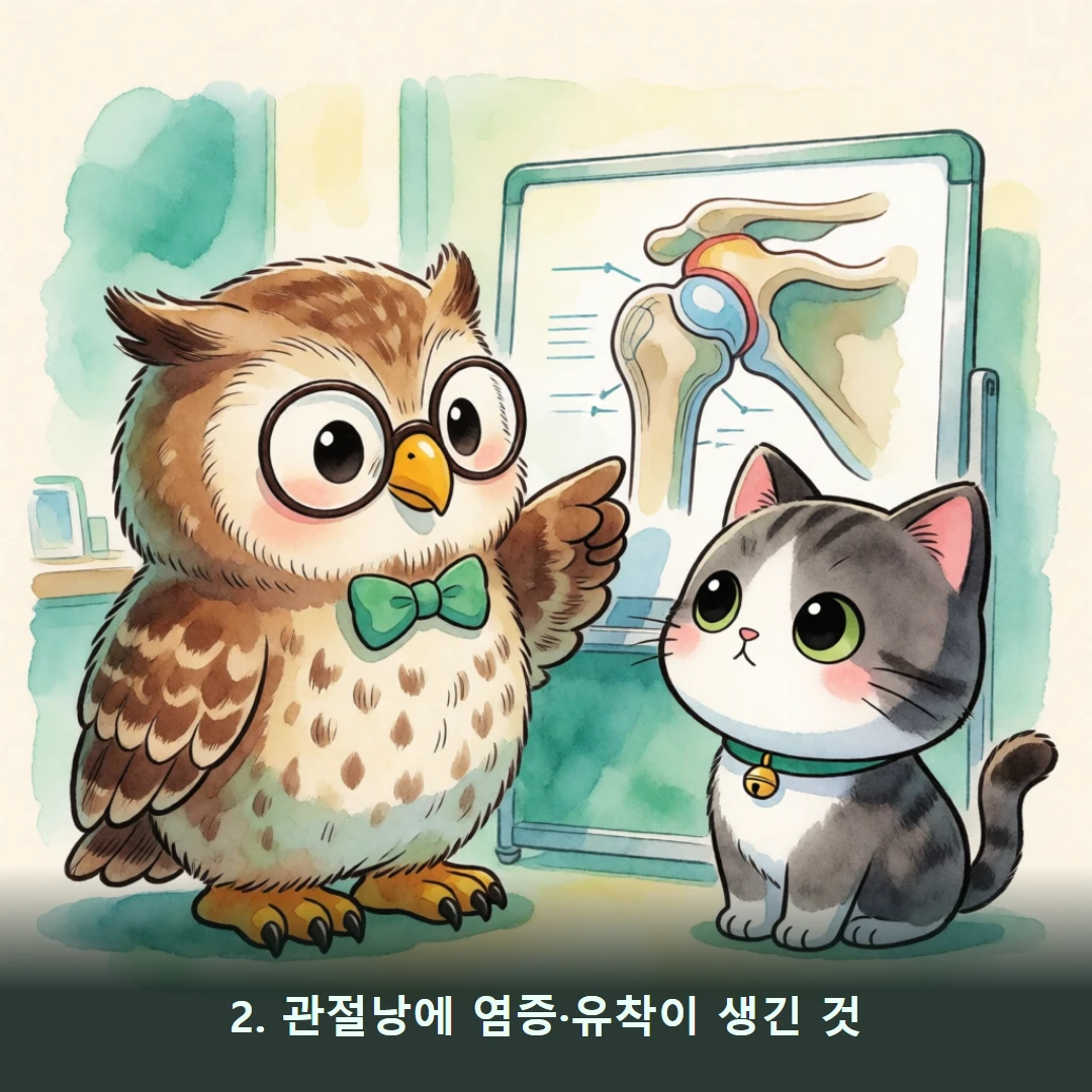 웹툰 2컷 — 2. 관절낭에 염증·유착이 생긴 것