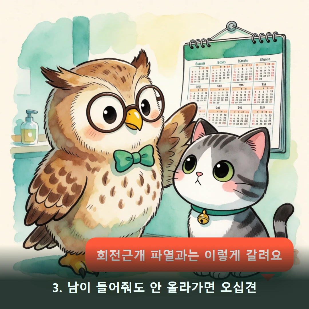 웹툰 3컷 — 3. 남이 들어줘도 안 올라가면 오십견 (회전근개 파열과는 이렇게 갈려요)