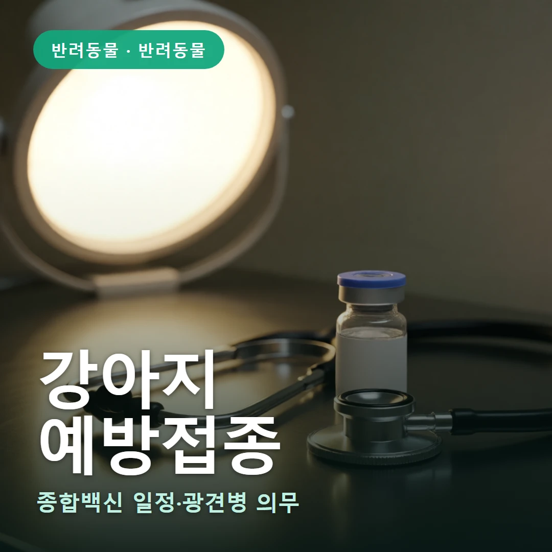 강아지 요약 표지 — 종합백신 일정·광견병 의무
