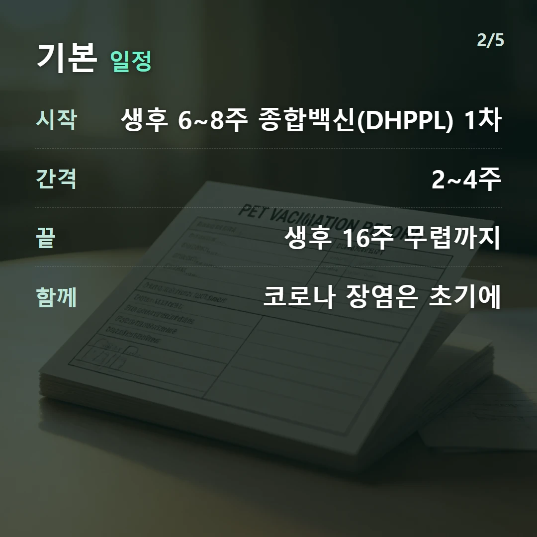 기본 일정 — 시작 생후 6~8주 종합백신(DHPPL) 1차, 간격 2~4주, 끝 생후 16주 무렵까지, 함께 코로나 장염은 초기에