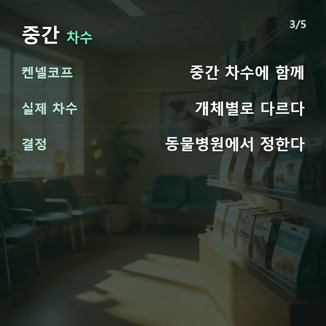 중간 차수 — 켄넬코프 중간 차수에 함께, 실제 차수 개체별로 다르다, 결정 동물병원에서 정한다