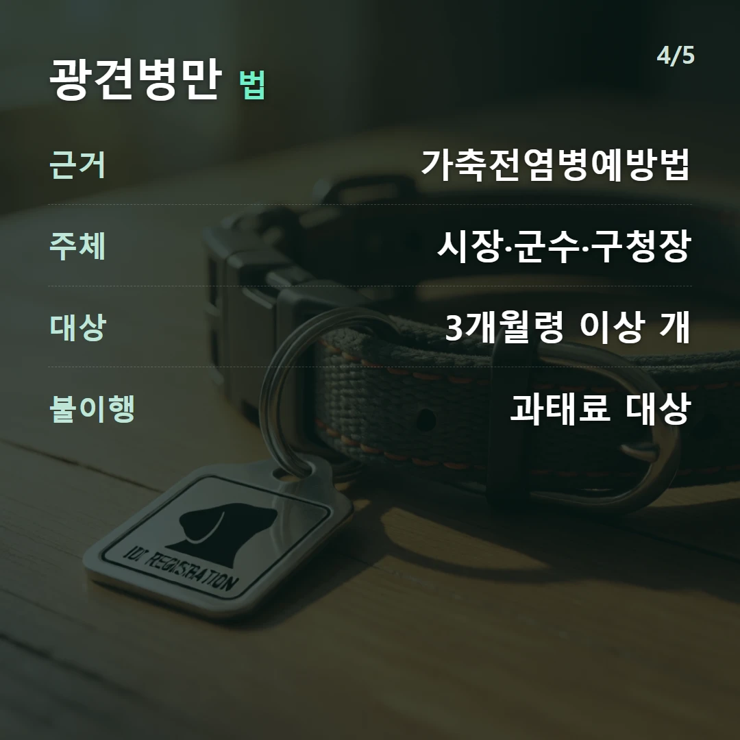 광견병만 법 — 근거 가축전염병예방법, 주체 시장·군수·구청장, 대상 3개월령 이상 개, 불이행 과태료 대상