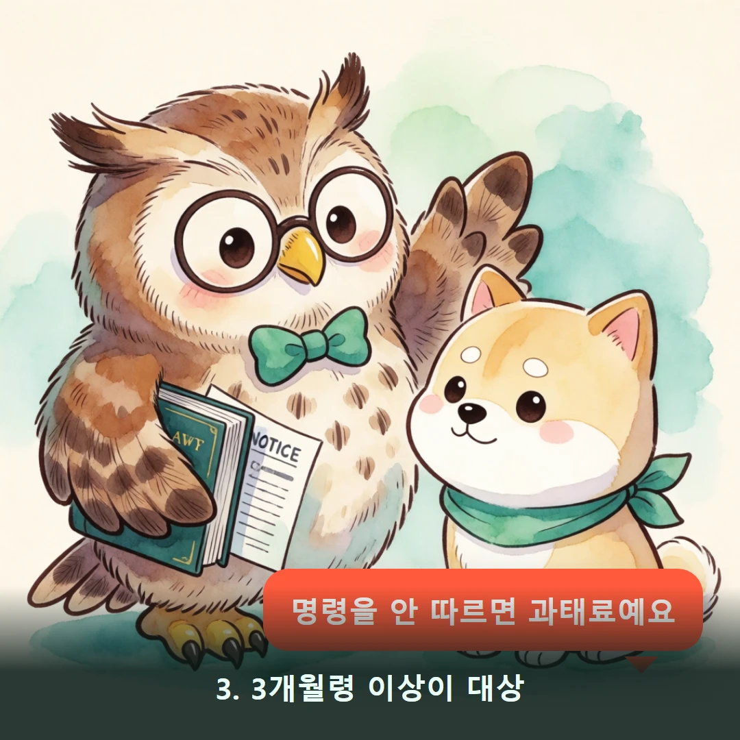 웹툰 3컷 — 3. 3개월령 이상이 대상 (명령을 안 따르면 과태료예요)