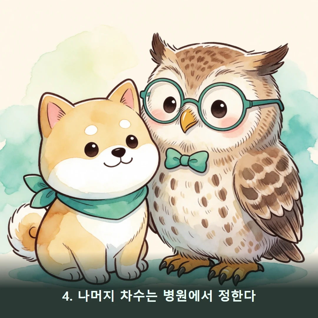 웹툰 4컷 — 4. 나머지 차수는 병원에서 정한다