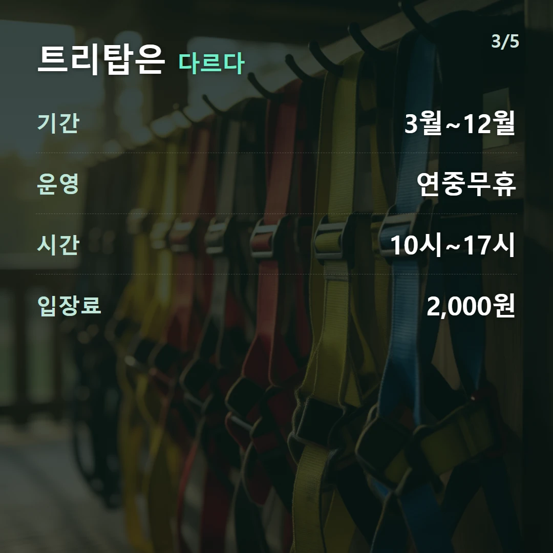 트리탑은 다르다 — 기간 3월~12월, 운영 연중무휴, 시간 10시~17시, 입장료 2,000원