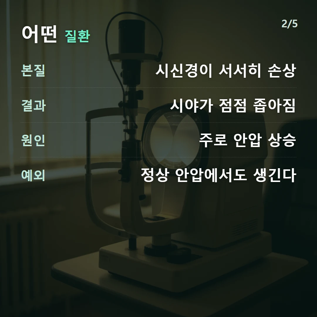 어떤 질환 — 본질 시신경이 서서히 손상, 결과 시야가 점점 좁아짐, 원인 주로 안압 상승, 예외 정상 안압에서도 생긴다
