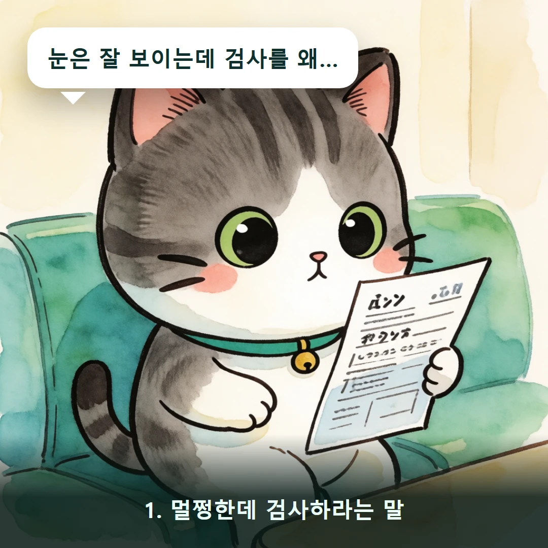 웹툰 1컷 — 1. 멀쩡한데 검사하라는 말 (눈은 잘 보이는데 검사를 왜…)