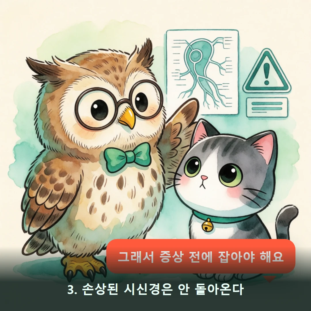 웹툰 3컷 — 3. 손상된 시신경은 안 돌아온다 (그래서 증상 전에 잡아야 해요)