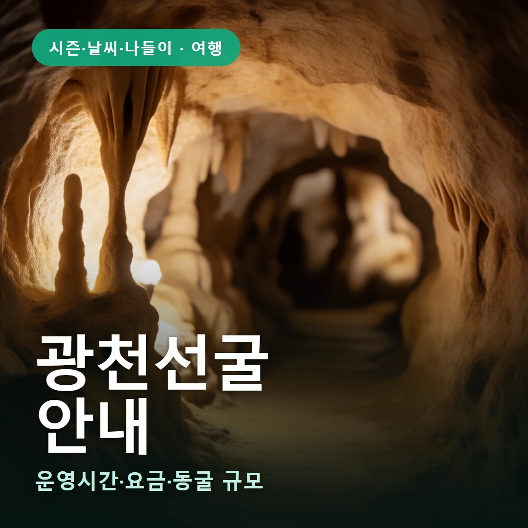 광천선굴 요약 표지 — 운영시간·요금·동굴 규모