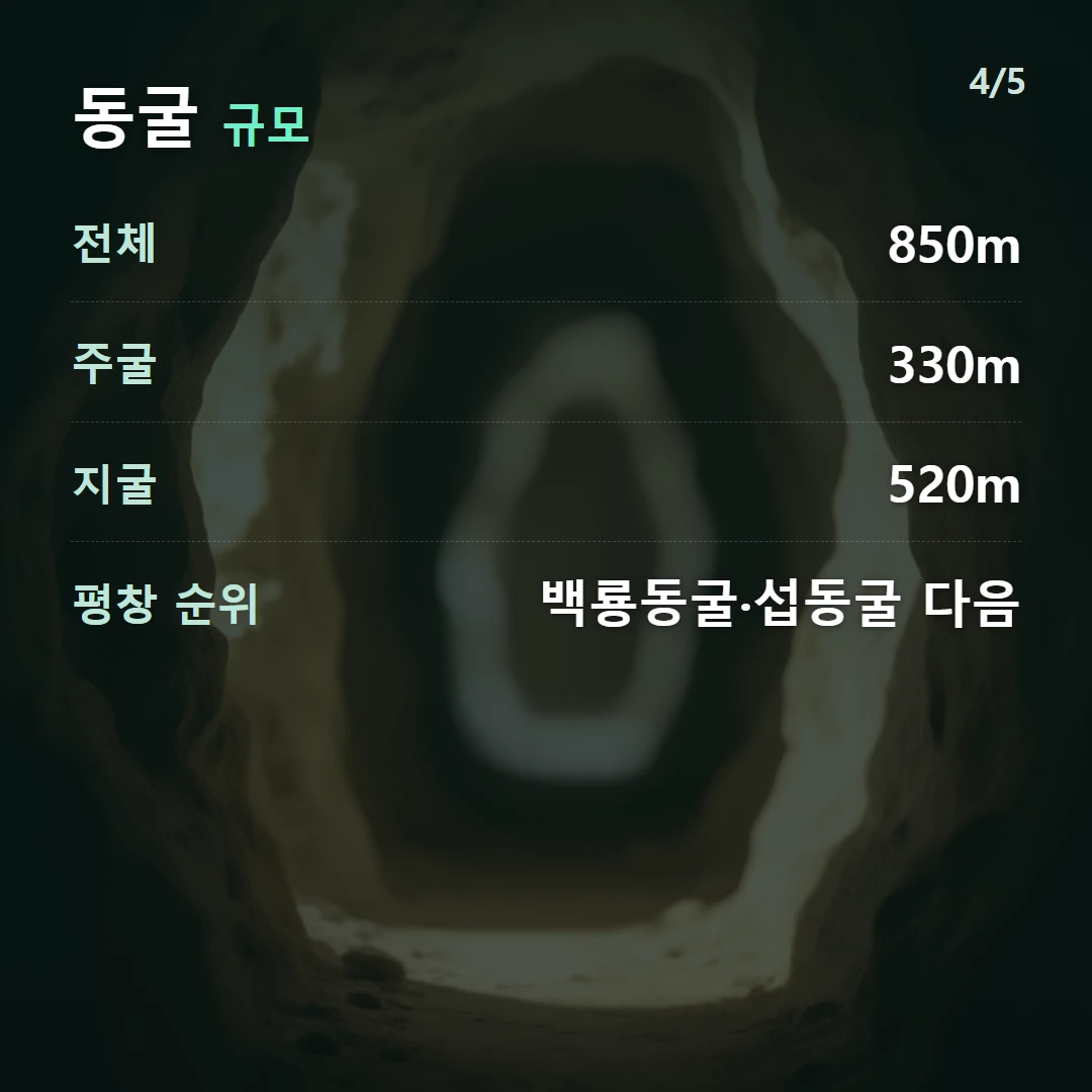 동굴 규모 — 전체 850m, 주굴 330m, 지굴 520m, 평창 순위 백룡동굴·섭동굴 다음