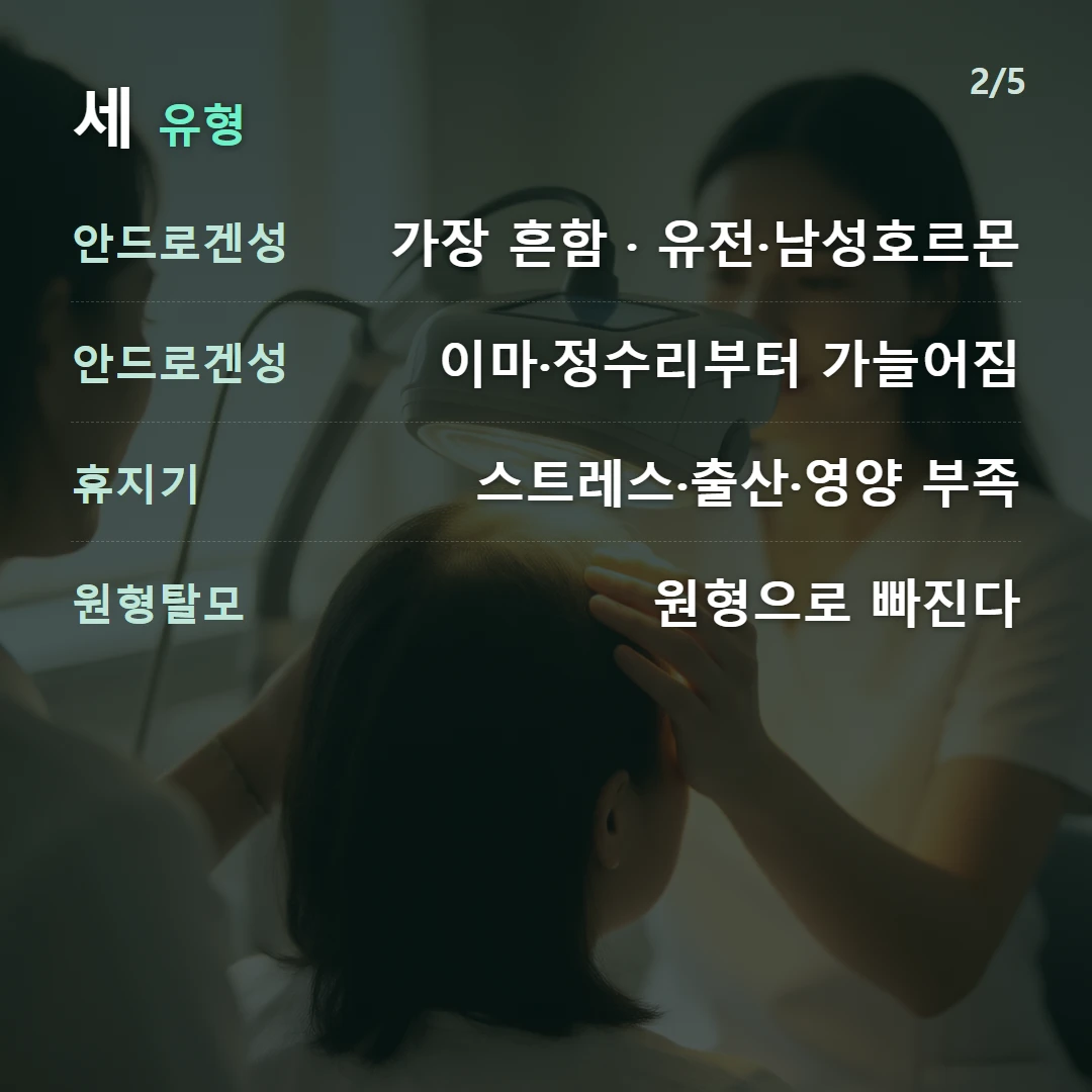 세 유형 — 안드로겐성 가장 흔함 · 유전·남성호르몬, 안드로겐성 이마·정수리부터 가늘어짐, 휴지기 스트레스·출산·영양 부족, 원형탈모 원형으로 빠진다