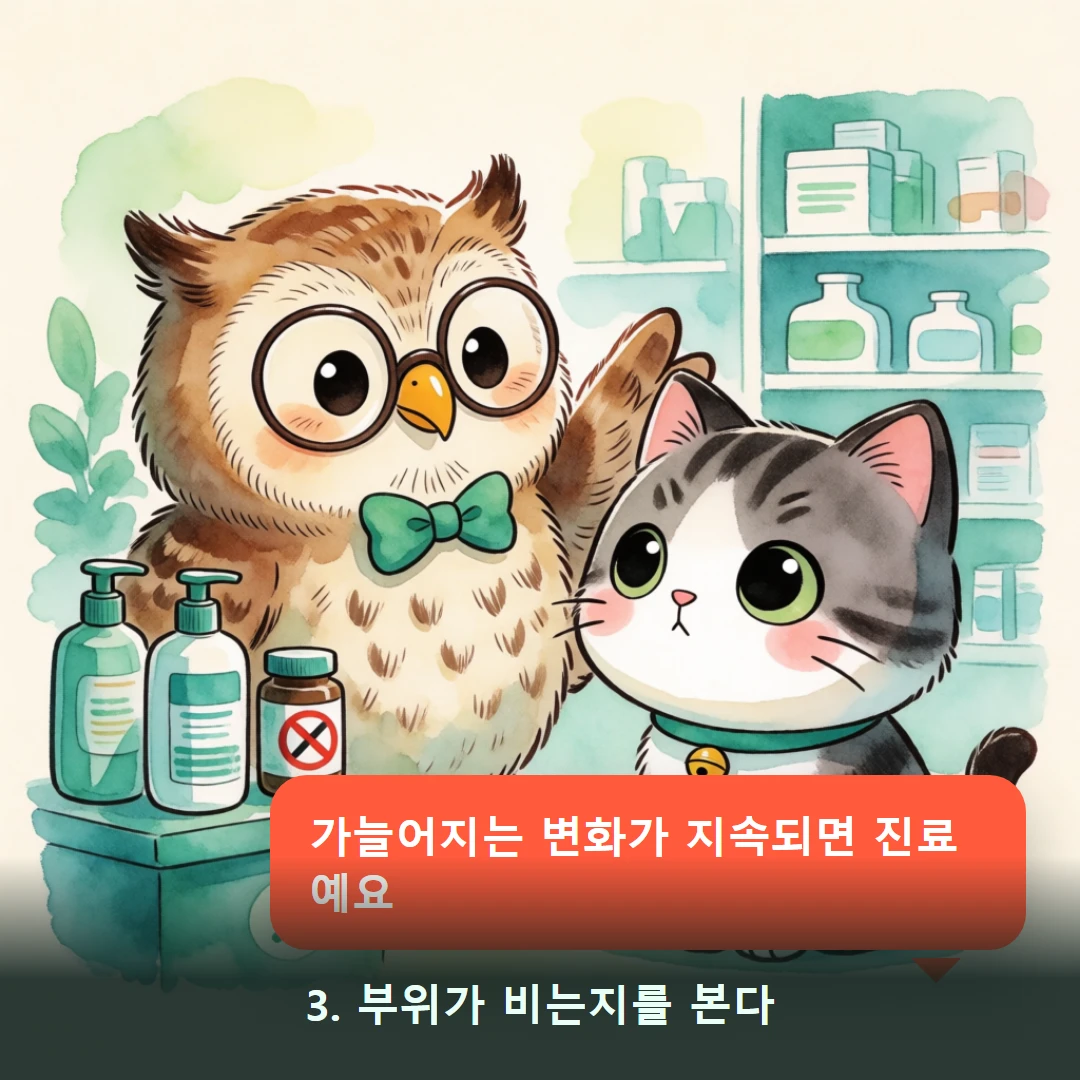 웹툰 3컷 — 3. 부위가 비는지를 본다 (가늘어지는 변화가 지속되면 진료예요)
