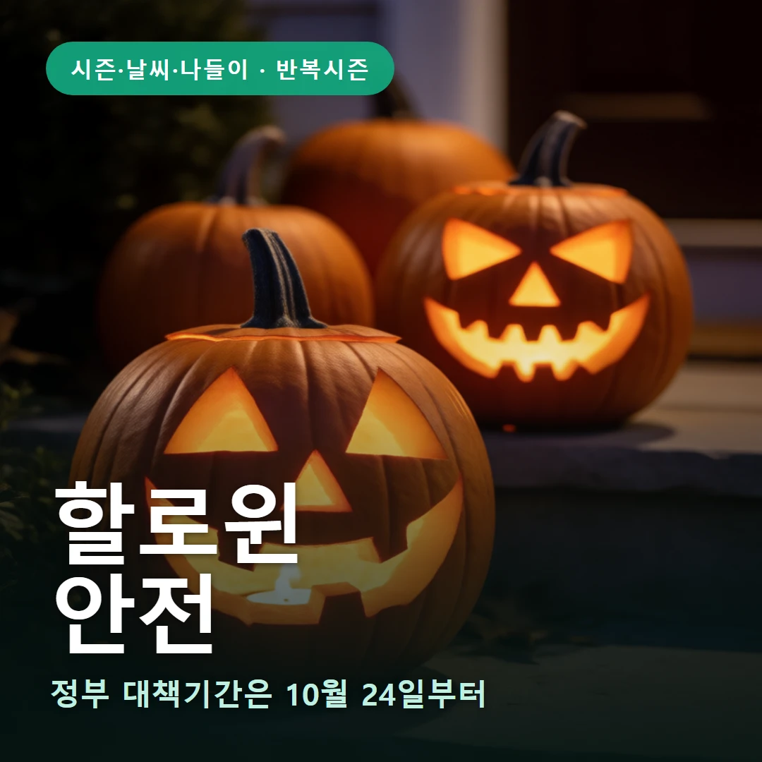할로윈 요약 표지 — 정부 대책기간은 10월 24일부터