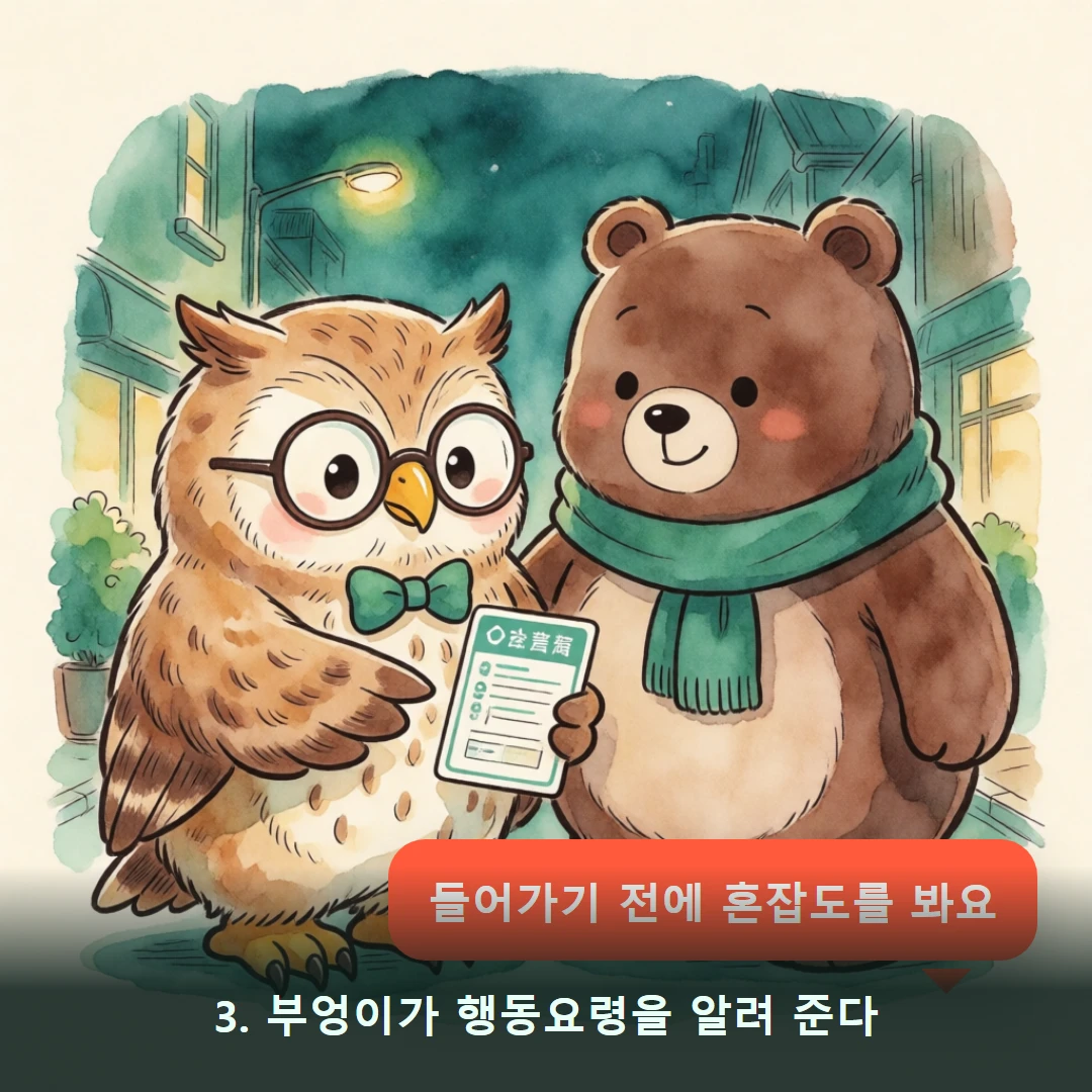 웹툰 3컷 — 3. 부엉이가 행동요령을 알려 준다 (들어가기 전에 혼잡도를 봐요)