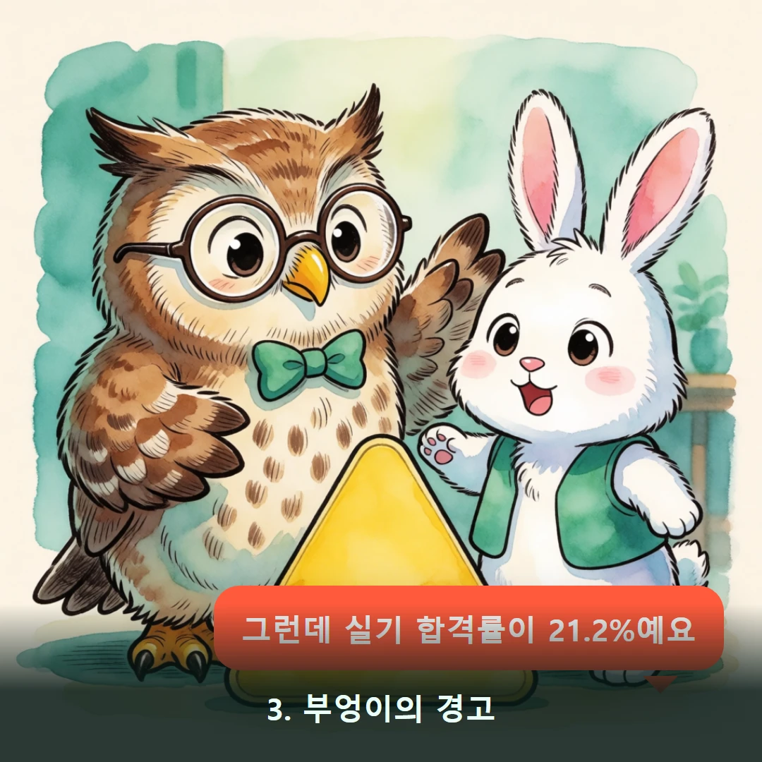 웹툰 3컷 — 3. 부엉이의 경고 (그런데 실기 합격률이 21.2%예요)
