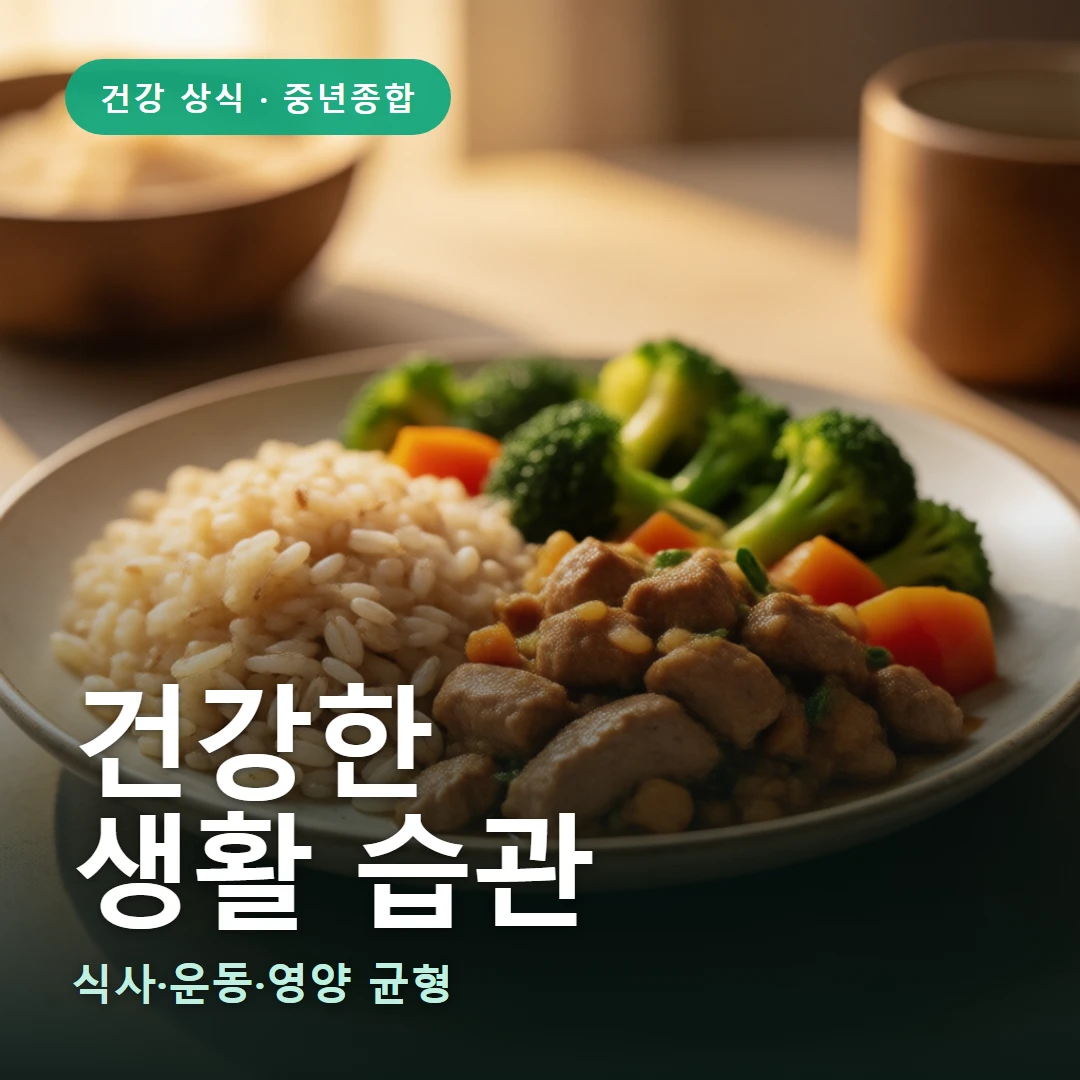 건강한 요약 표지 — 식사·운동·영양 균형