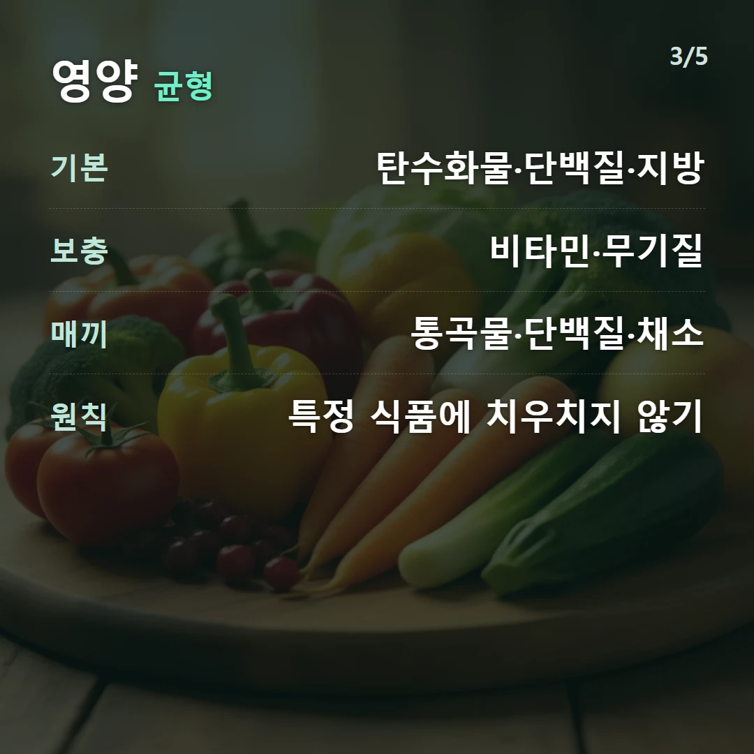 영양 균형 — 기본 탄수화물·단백질·지방, 보충 비타민·무기질, 매끼 통곡물·단백질·채소, 원칙 특정 식품에 치우치지 않기